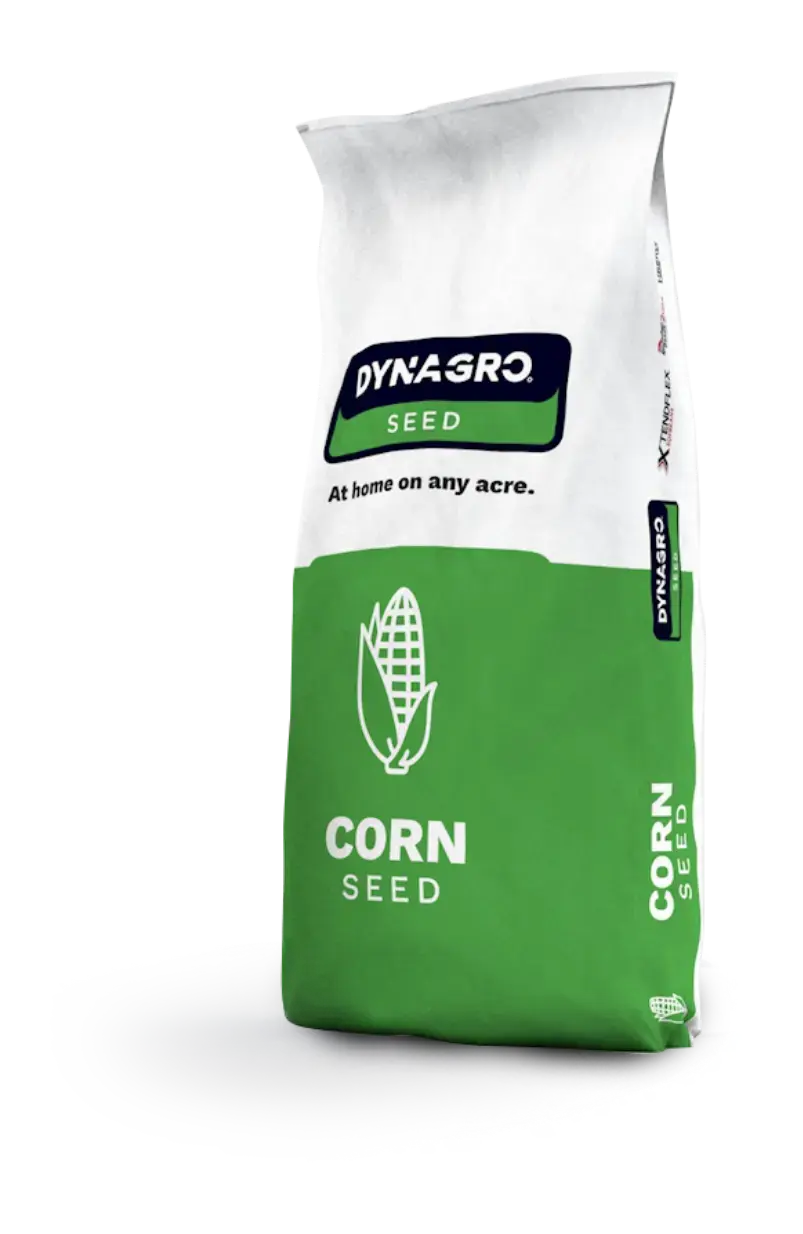 corn-right-image-v3